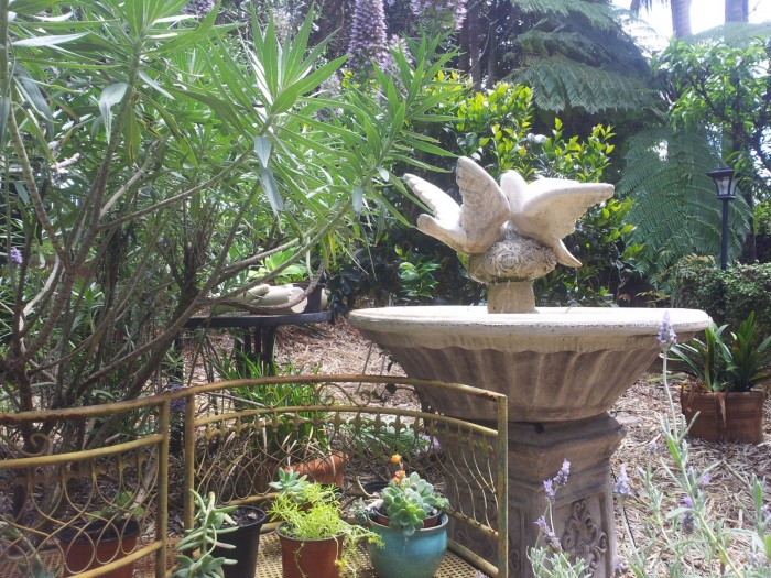 The Gardens are there for the birds as well.