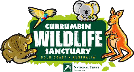 Currumbin bird sanctuary is just 45 minutes from Amore B&B - your most central Tamborine Mountain accommodation