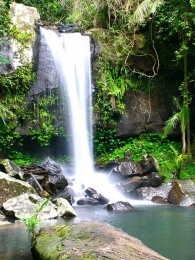 Curtis Falls near Amore BnB in Mt Tamborine