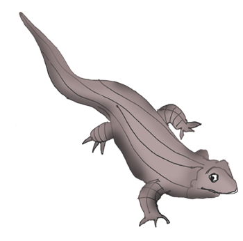 Illustration of a land mullet. A type of large lizard found in Joalah National Park near Amore B&B Mt Tamborine