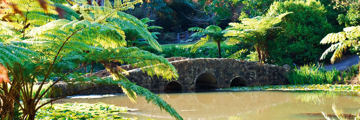 Tamborine Mountain's Botanic Gardens is a perfect wedding venue