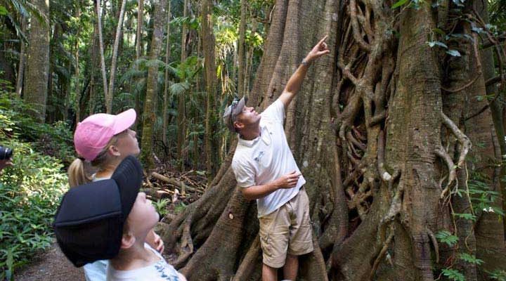Tour-Guide-Darran